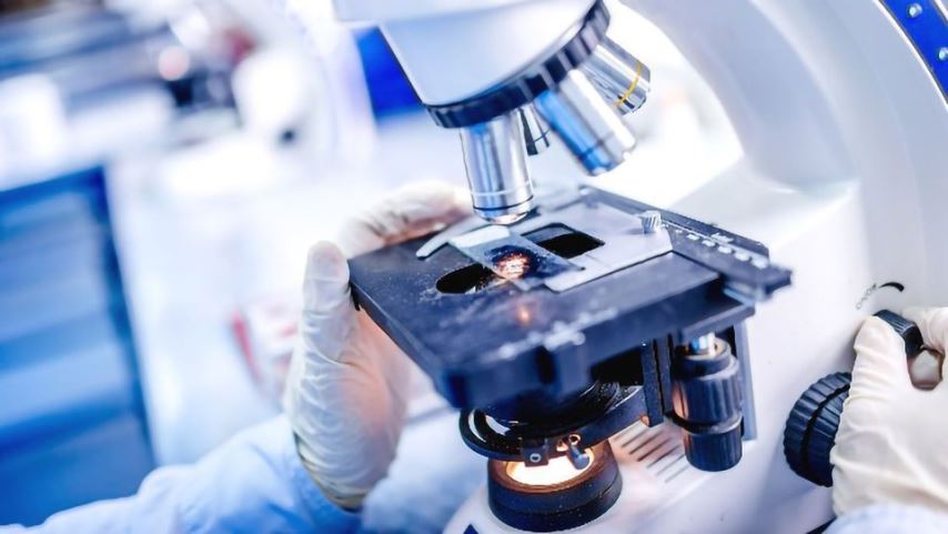 Стереоскопічні мікроскопи для ветеринарної лабораторії: якісне обстеження за будь-яких умов